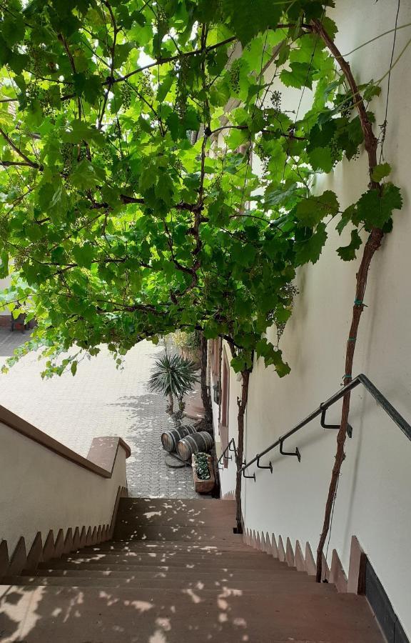 סנט מרטין Das Landhotel Weingut Gernert מראה חיצוני תמונה